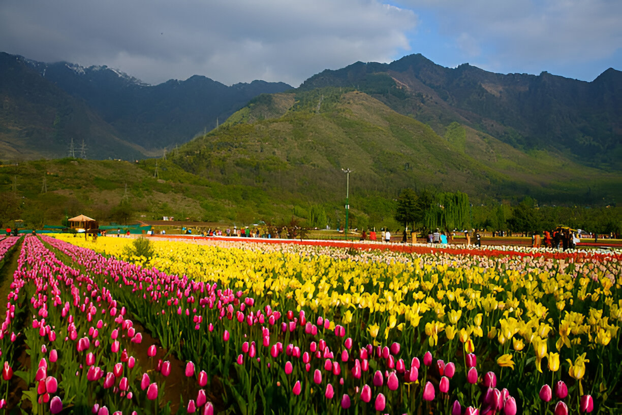 J&K-India