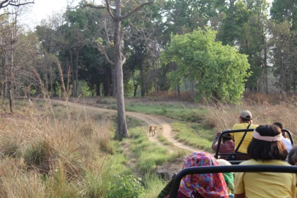 Kanha Tour