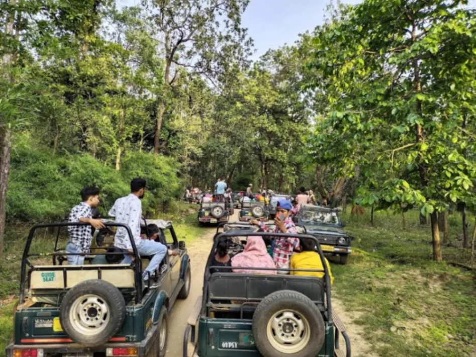 Kanha Tour