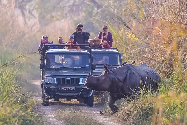 Kanha Tour