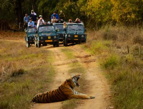 Kanha Tour