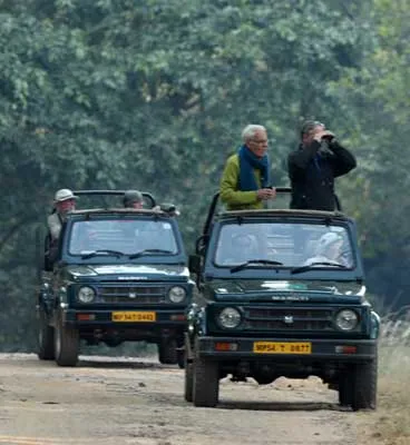 Bandhavgarh Tour