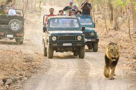 Bandhavgarh Tour