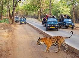 Bandhavgarh Tour