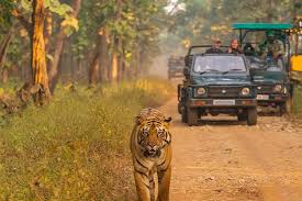 Corbett Tour