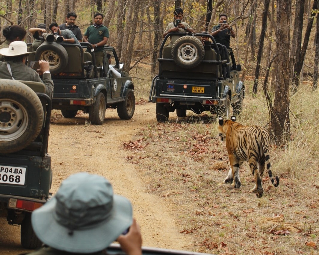 Corbett Tour