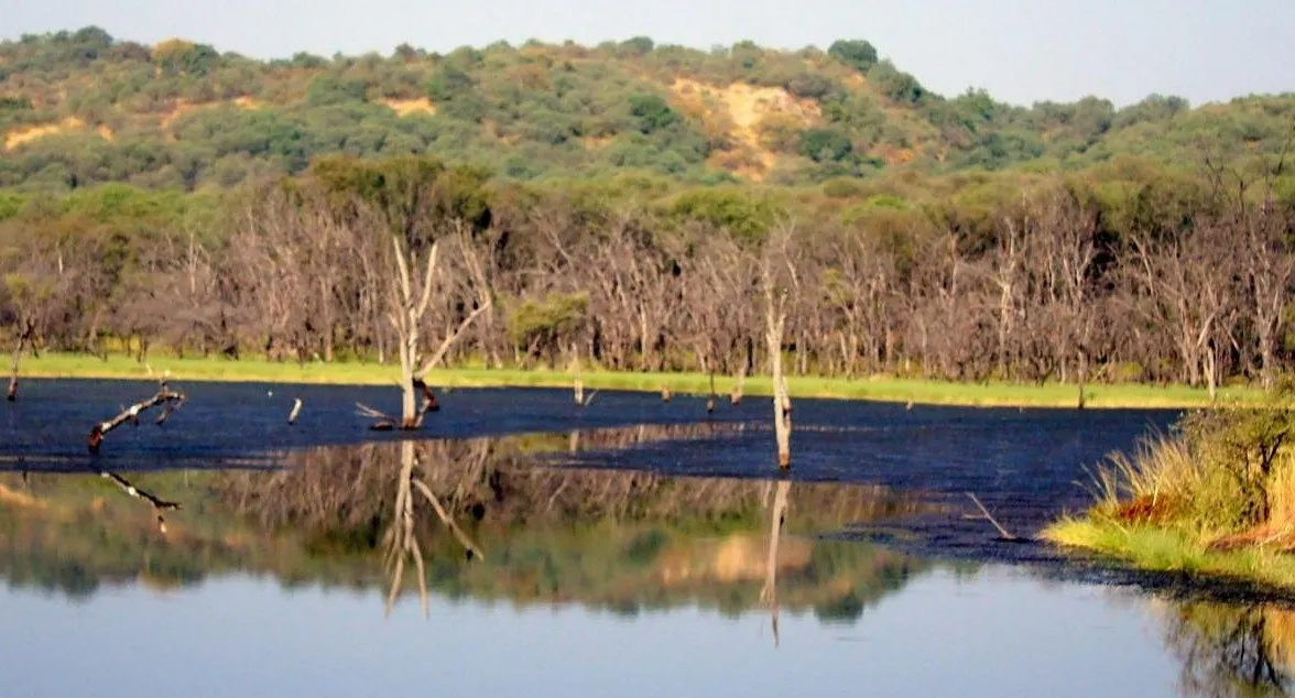 Ranthambore Tour