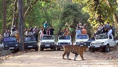 Pench Tour