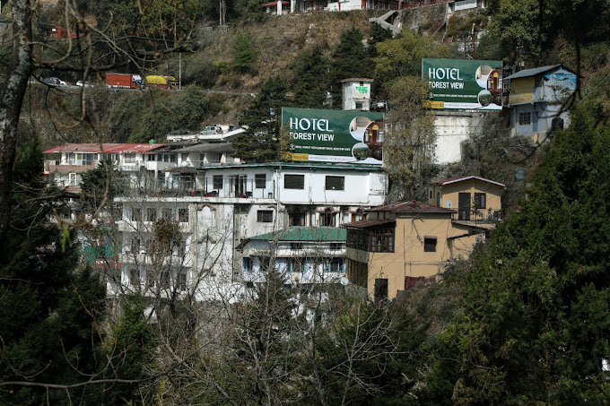 FOREST VIEW, MUSSOORIE