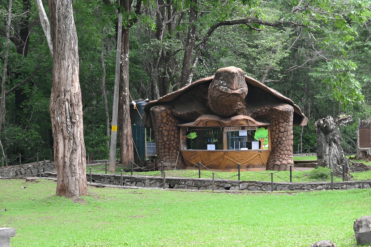 Image 5