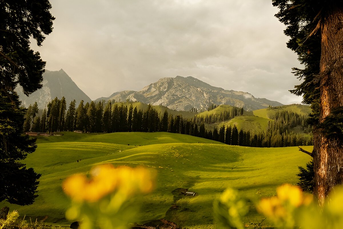 Nafran Valley Trek