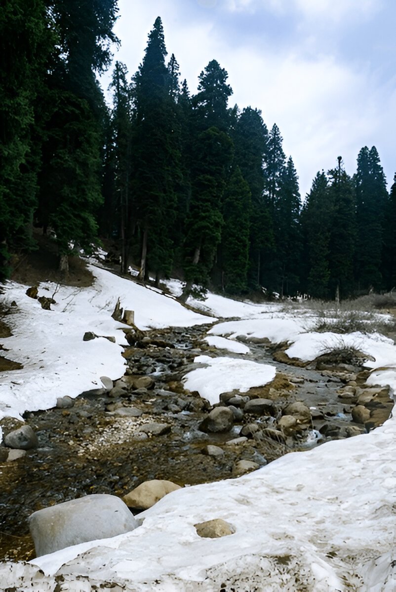 Doodhpathri Trek